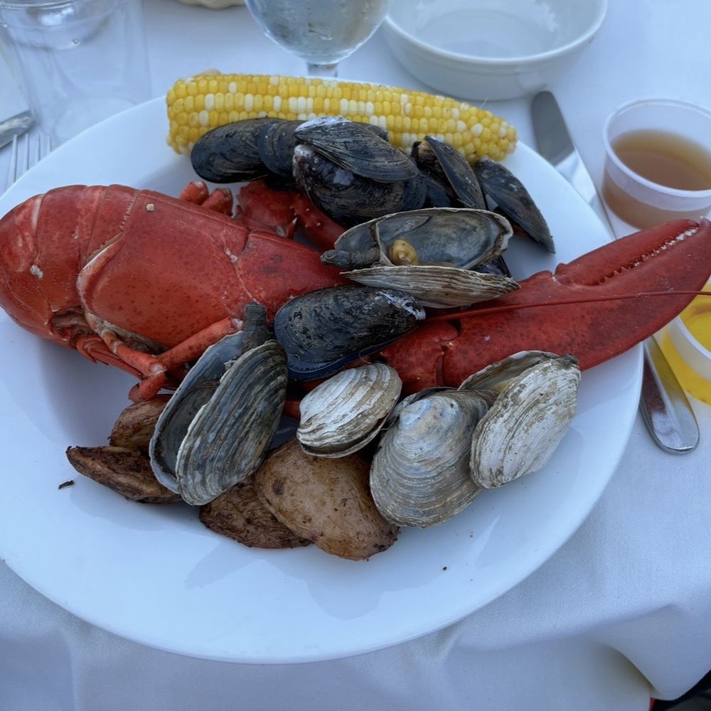 Maine Lobster