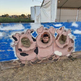Pumpkin Station - More picture opps - Kids Activities Near Me - Bonita, California Pumpkin Station - More picture opps - Kids Activities Near Me - Bonita, California