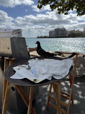 Smith & Wollensky - Miami Beach by null
