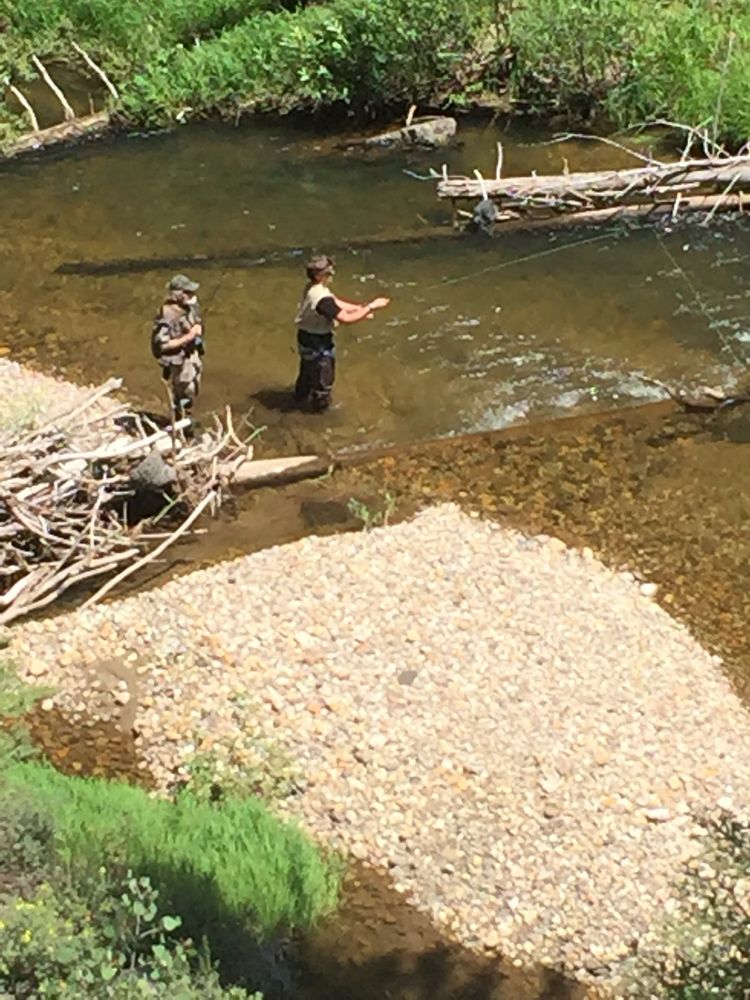 Dodd's Wildlife Taxidermy - taxidermy in Tampa, FL