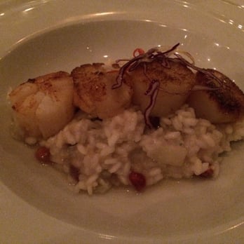 Molos - Scallops baby! - Greek Near Me - Weehawken, New Jersey Molos - Scallops baby! - Greek Near Me - Weehawken, New Jersey