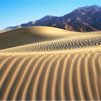 Samy's Camera - Death Valley N.P. Photo from eastern side of Mesquite Dunes dune field. By Tom Brody. (film processed, scanned at Samy's) - Photography Stores & Services Near Me - Santa Ana, California Samy's Camera - Death Valley N.P. Photo from eastern side of Mesquite Dunes dune field. By Tom Brody. (film processed, scanned at Samy's) - Photography Stores & Services Near Me - Santa Ana, California