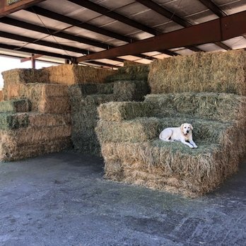 Three G's Hay & Grain - Hay - Pet Stores Near Me - Arcata, California Three G's Hay & Grain - Hay - Pet Stores Near Me - Arcata, California