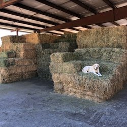 Three G's Hay & Grain - Hay