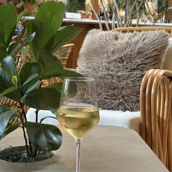 The Willow - Wine Bars Near Me - Lexington, Kentucky The Willow - Wine Bars Near Me - Lexington, Kentucky