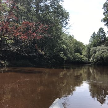 Blackwater River State Park - Blackwater River - Parks Near Me - Holt, Florida