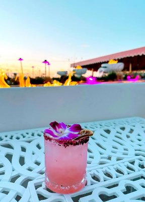 The Beverly Beach Garden by null