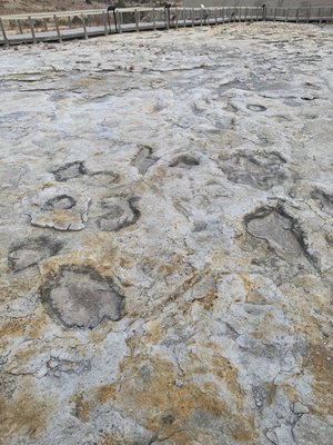 Clayton Lake State Park and Dinosaur Trackways by null