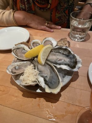 Oyster Boy by null