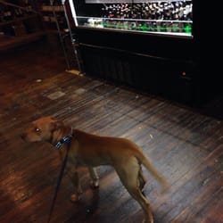 They even let my dog in.