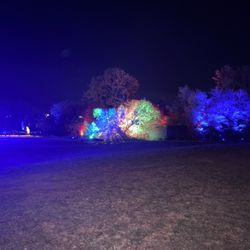Harry Potter - A Forbidden Forest Experience