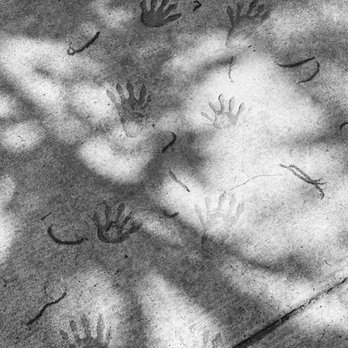 Nature Discovery Center - Step by step - Community Service/Non-Profit Near Me - Bellaire, Texas Nature Discovery Center - Step by step - Community Service/Non-Profit Near Me - Bellaire, Texas