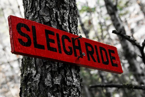 Kingdom Trails by null