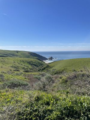 Tomales Bay Trailhead by null