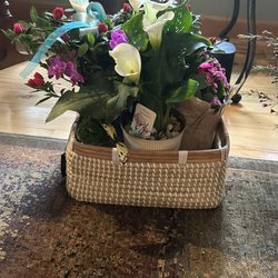 Natalie & Daria's Flowers & Gifts - Arrangement of 4 live plants