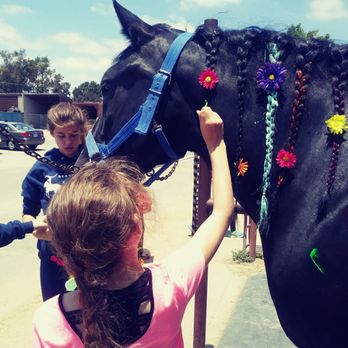 OC Equestrian Vaulting - Horseback Riding Near Me OC Equestrian Vaulting - Horseback Riding Near Me