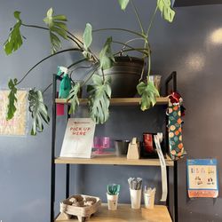 Pink Owl Coffee