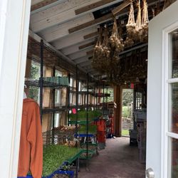Ghost Island Farm - Entrance with sprouts and drying garlic.