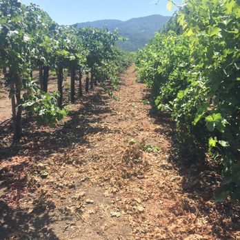 Peju Winery - Wine Tasting Room Near Me - Rutherford, California