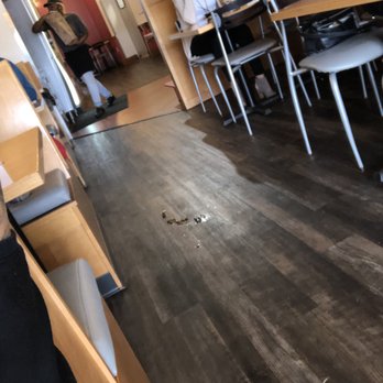 Noodles and Company - Water on the floor. Lawsuit waiting to happen. - Noodles Near Me - Brookfield, Wisconsin