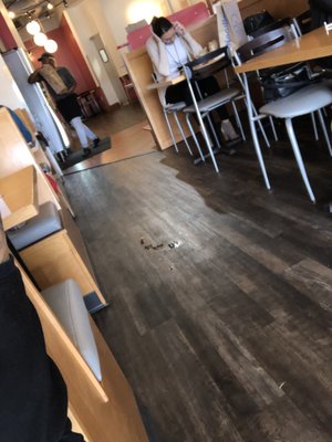 Noodles and Company by null
