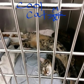 Hocking Hills Animal Clinic 23 Photos Veterinarians 1978 E Front St Logan Oh Phone Number Yelp