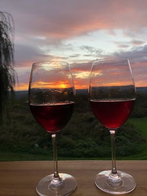 Stonecat: Regional Cuisine & Bar by null