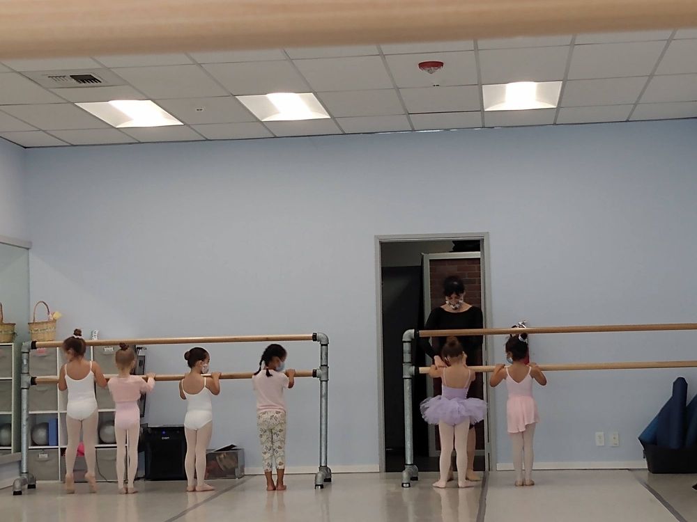 Karin Kirkland School of Dance Logo