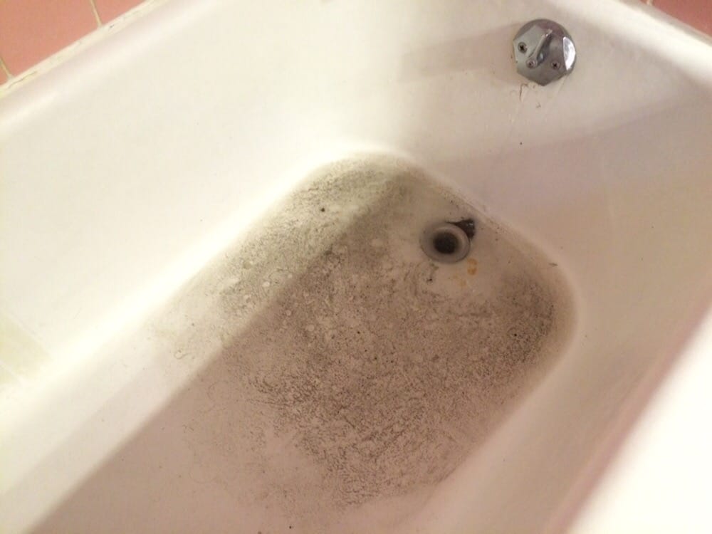 Slide of Plumbing Professors