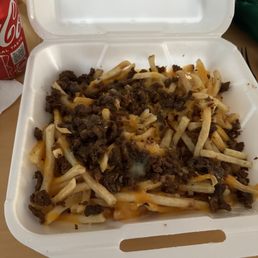 Carne Asada Fries not like the online description at all