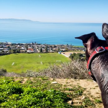 Forrestal Ecological Reserve - Hiking Near Me - Rancho Palos Verdes, California