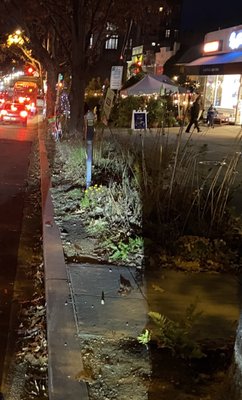 Comet Ping Pong by null