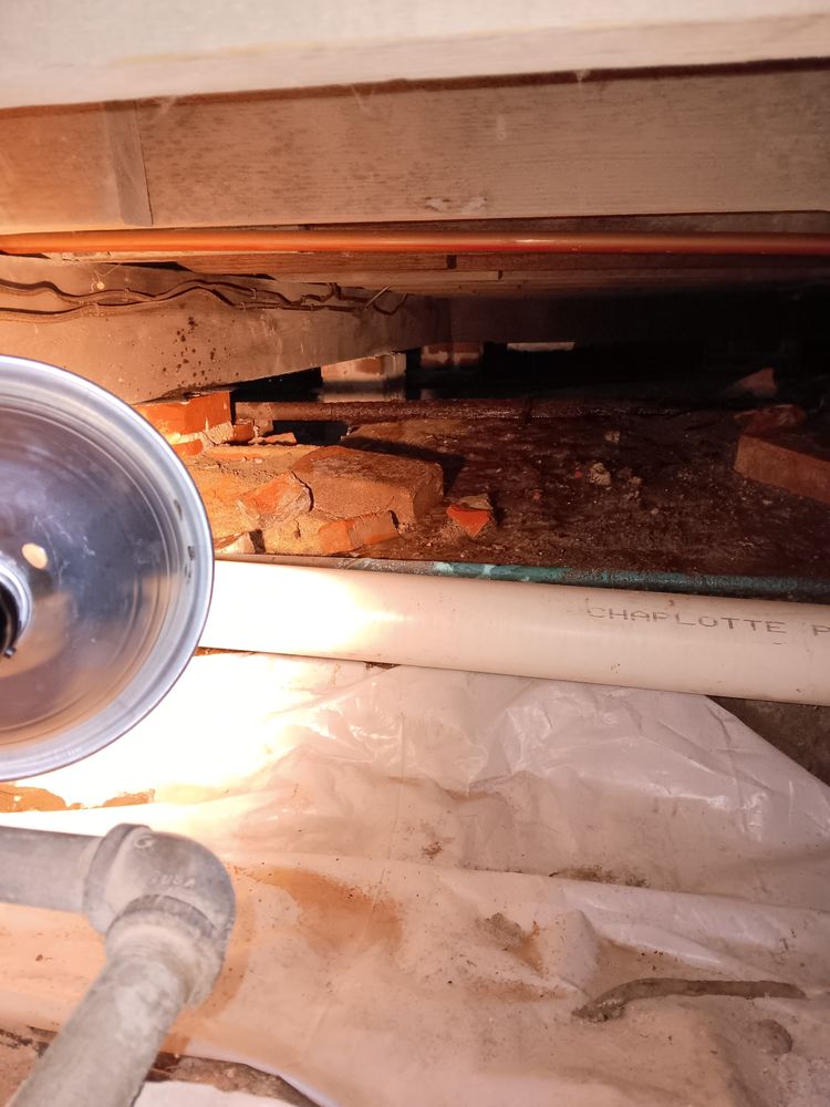 Slide of The Master Plumber