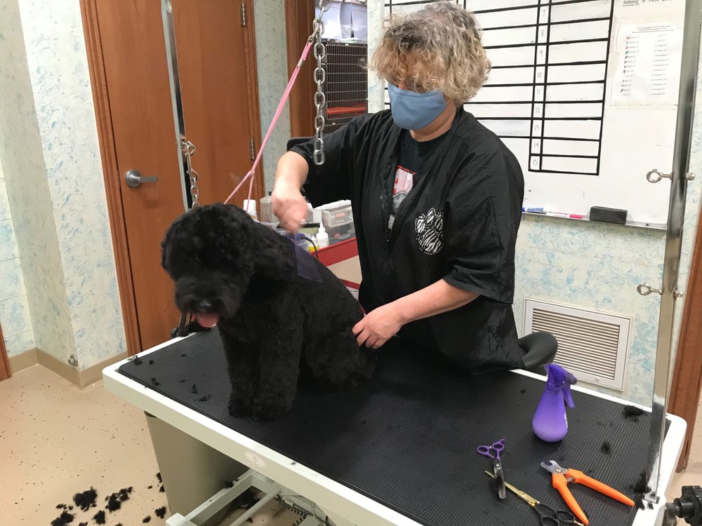 MOUNTAIN VIEW VETERINARY HEALTH CENTER SOUTH Updated September 2024 516 W Golf Course Rd