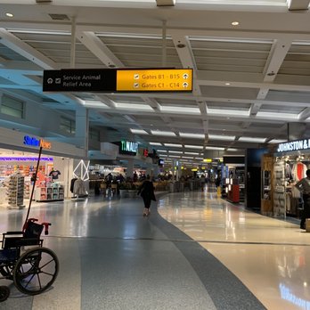 BWI Thurgood Marshall Airport - Concourse D - Airport Terminals Near Me - Baltimore, Maryland BWI Thurgood Marshall Airport - Concourse D - Airport Terminals Near Me - Baltimore, Maryland