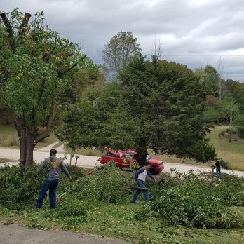 Benitez Tree Service - Tree Services Near Me Benitez Tree Service - Tree Services Near Me