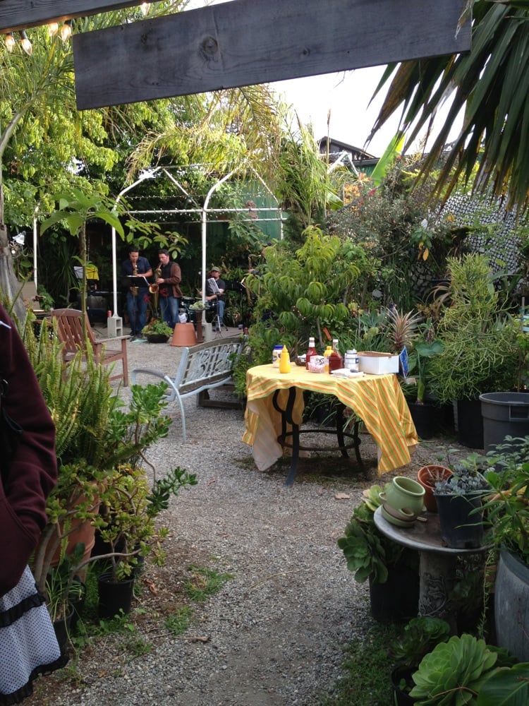 CARPINTERIA LANDSCAPE NURSERY Updated October 2024 933 Elm Ave