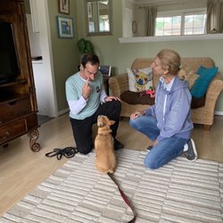 Serenity Dog Training - French Bulldog Roxy learning to sit and focus with dog trainer Todd