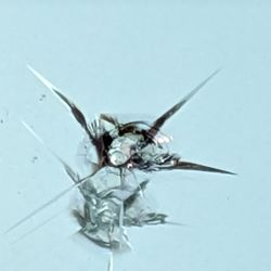 Clarke's Spotless Windshield Crack Repair - Windshield Crack Repair