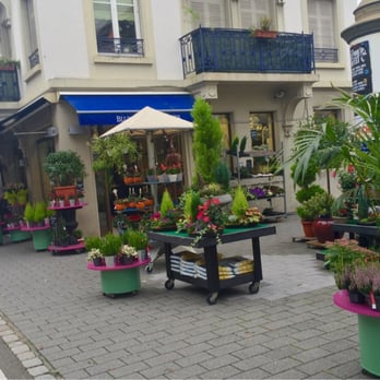 Blumstein - Florists Near Me - Strasbourg, 67 Blumstein - Florists Near Me - Strasbourg, 67