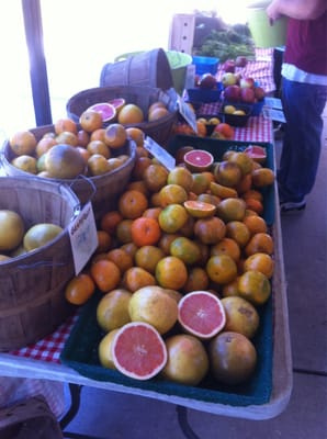 Orlando Farmers' Market by null
