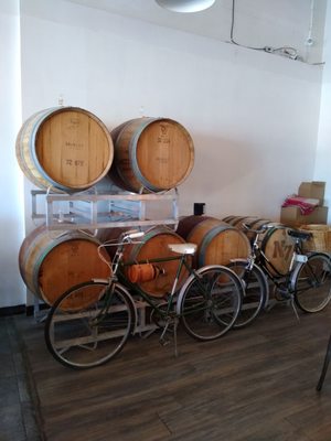 Bicycle Craft Brewery by null