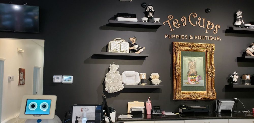 Teacups, Puppies & Boutique Image