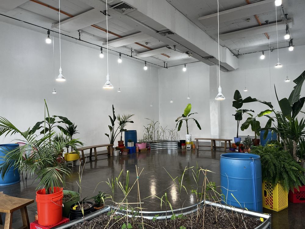 Artpace - wedding in San Antonio, TX