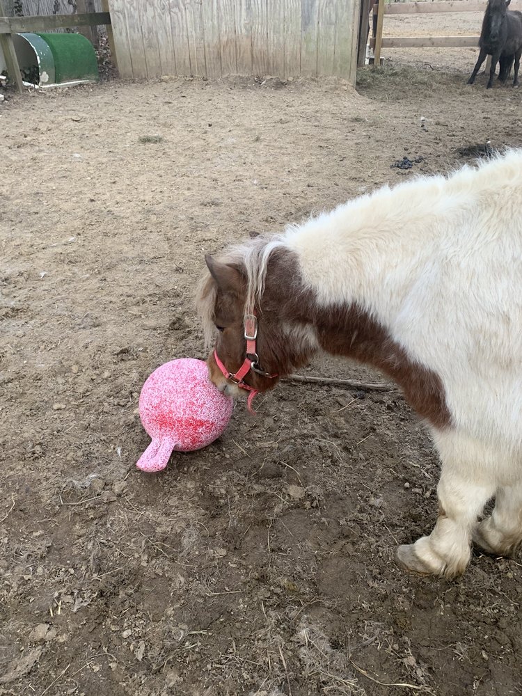 NEPTUNE FEED & FARM PRODUCTS Updated October 2024 4195 Middle