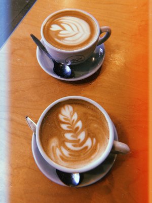 Kaffeesaurus by null