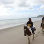 Pakiri Beach Horse Rides & Overnight Safaris