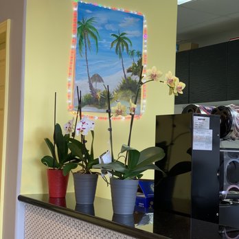 Hello Tealicious - Orchids }:{ - Coffee & Tea Near Me - Houston, Texas