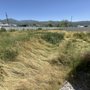 Photo of Garces Lawn Care & Landscaping 