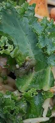 Bread & Butter by null